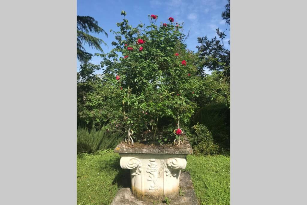 Casa La Torre Un Castello Alle Porte Di Firenze Εξωτερικό φωτογραφία